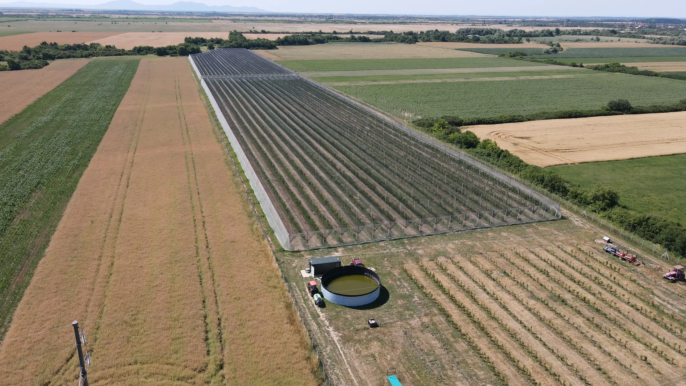 Aerial view of net-covered orchards, with a retention basin and open farmland