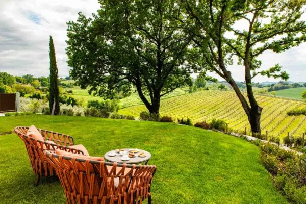 Oliveto Sul Lago Country House — giardino e vigneti